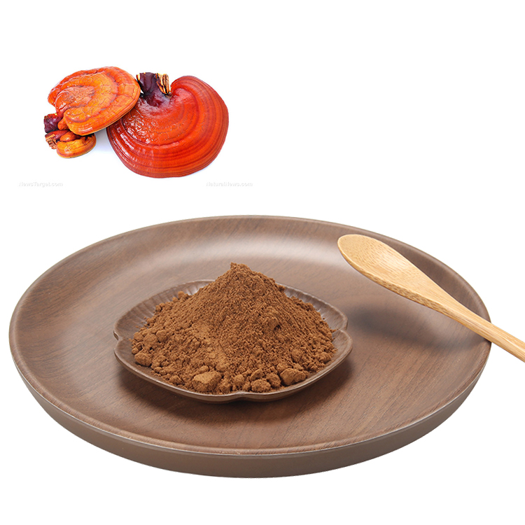 Mushroom Powder Natural Reishi Lions Mane Cordyceps Chaga Maitake Reishi Mushroom Ganoderma Lucidum Extract 40% Polysaccharides